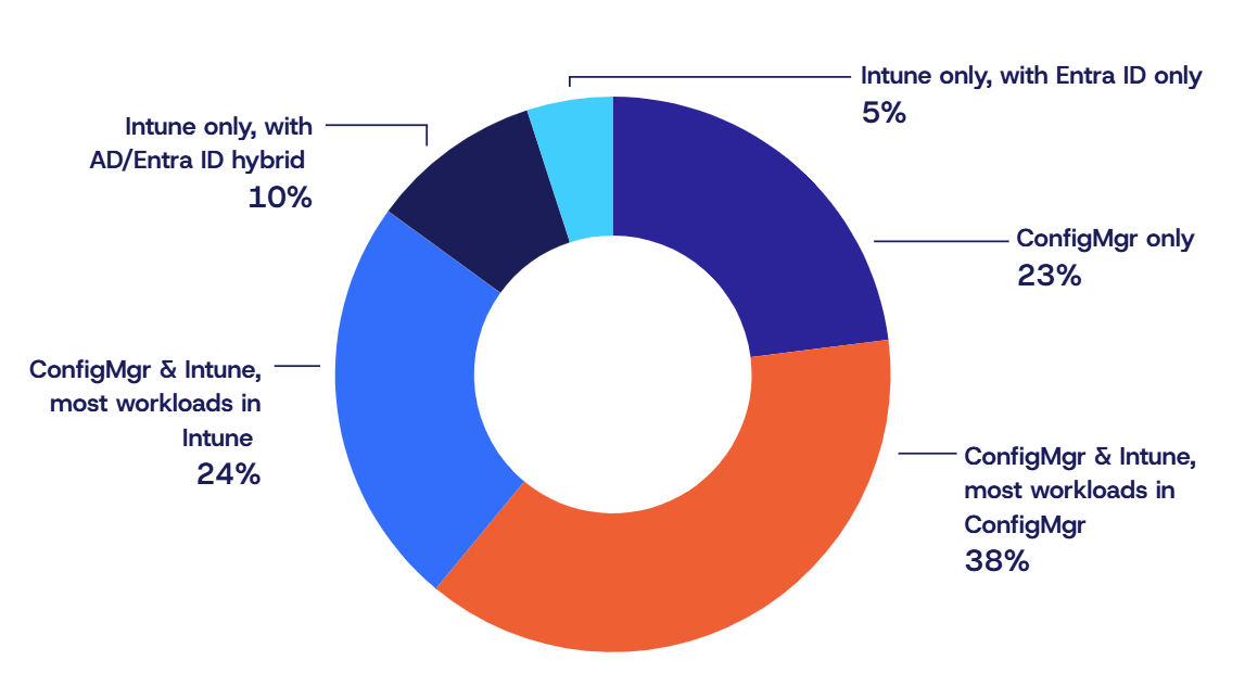 Colorful donut chart showing breakdown of endpoint environments