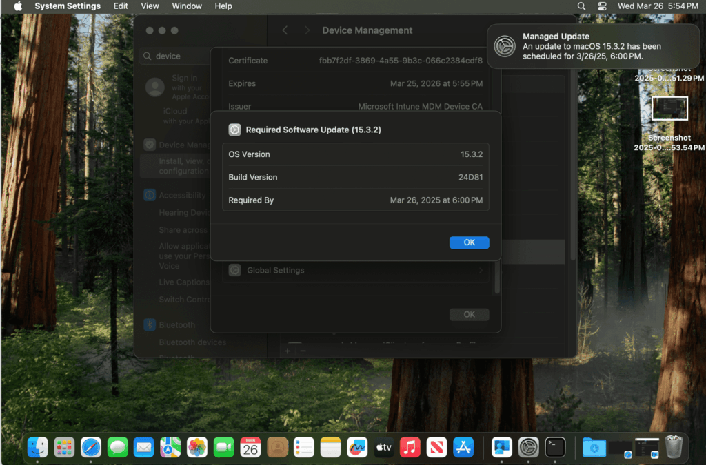 VM OS Info