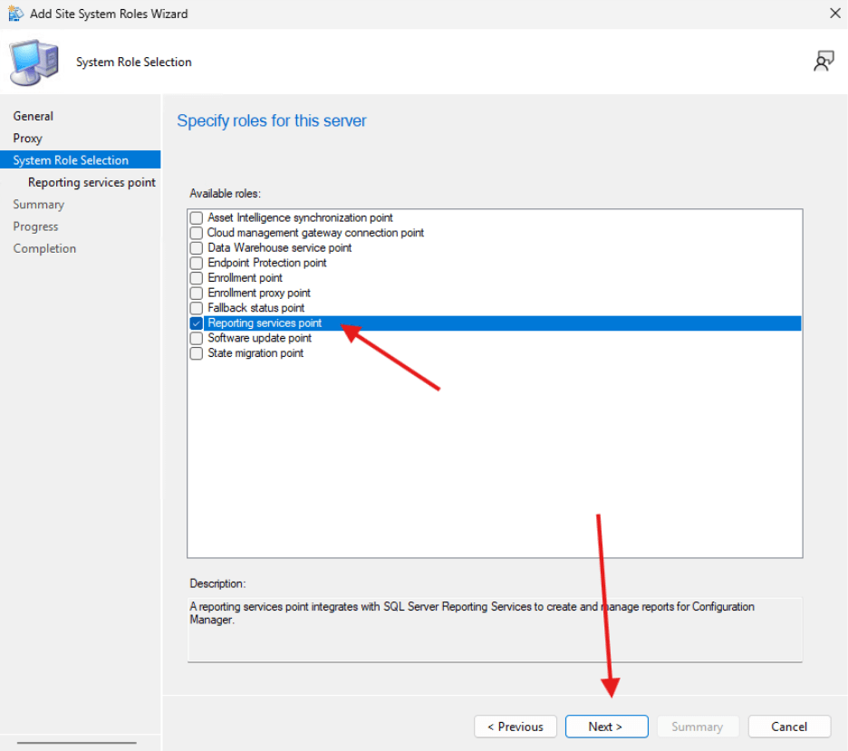 SSRS - Role Selection