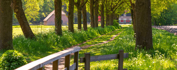 Recast Simplifies Citrix Migration to a Modern Workspace for Berkelland Municipality 