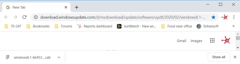 Download a Software Update - Second URL Test