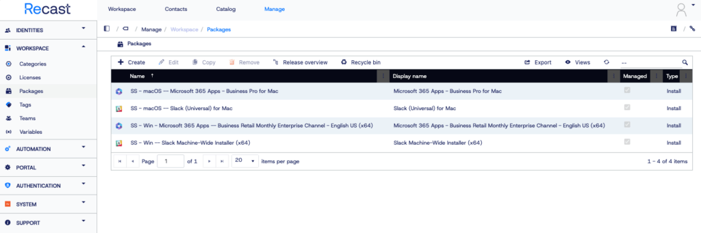 Application Workspace screenshot depicting various packages imported from setup store sources.