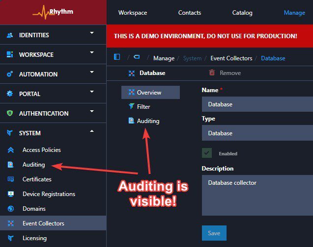 Access Policies in Application Workspace - auditing visible