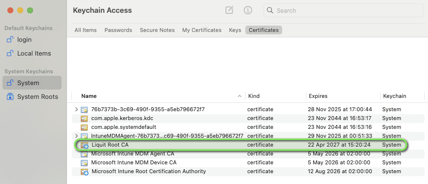 Application Workspace Root CA