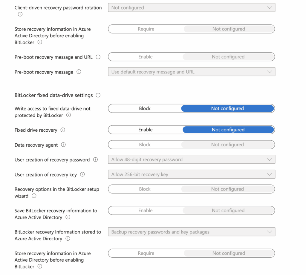 BitLocker Fixed Data-Drive Settings