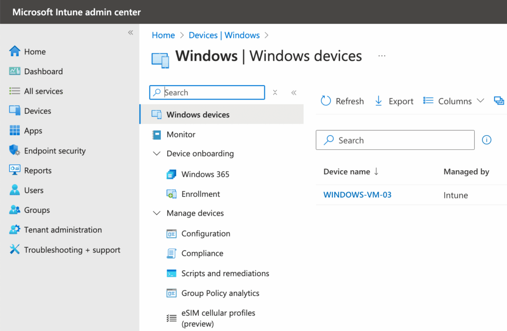 Intune Windows Devices