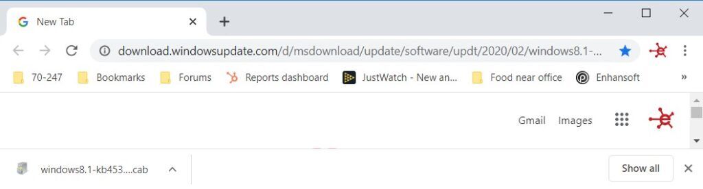 Download a Software Update - Second URL Test